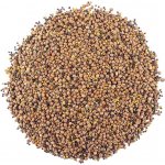 ZdravýDen BIO Směs semen na klíčení 2 brokolice ředkev červená jetel 200 g – Zboží Mobilmania