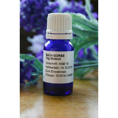 Bachovy květové esence Gorse Globuli 10 g – Hledejceny.cz
