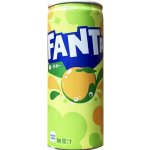 Fanta sycený nápoj s příchutí švestky 250 ml – Zboží Dáma