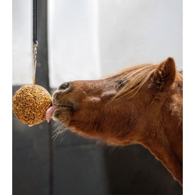 Likit Granola Ball liz pro koně koule melasa 1,6 kg – Zbozi.Blesk.cz