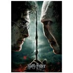 SD Toys Harry Potter Harry vs Voldemort 1000 dílků – Hledejceny.cz