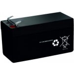 Extol CRAFT 402401E 12V Li-ion, 1,3Ah – Zboží Dáma