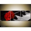 Obraz Obraz červená růže na klavíru