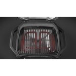Weber PULSE 1000 – Zboží Dáma