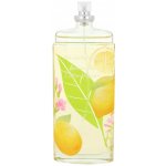 Elizabeth Arden Green Tea Honeysuckle toaletní voda dámská 100 ml – Hledejceny.cz
