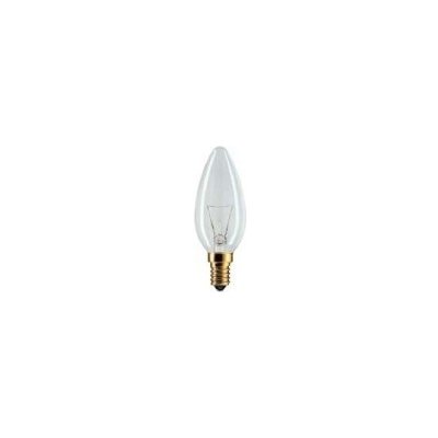 TES-LAMP žárovka 25W/230V E14 čirá svíčka – Zboží Živě