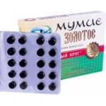 TML Mumio Zlaté 30 tablet – Hledejceny.cz