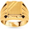 Prsteny iZlato Forever Zlatý pečetní prsten s matováním IZ24988
