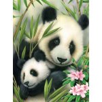 Malování podle čísel 22 x 30 cm Pandy – Zboží Dáma Malování podle čísel 22 x 30 cm Pandy – Zboží Dáma