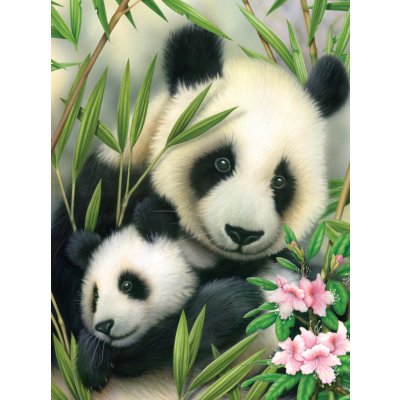 Malování podle čísel 22 x 30 cm Pandy – Zboží Dáma Malování podle čísel 22 x 30 cm Pandy – Zboží Dáma