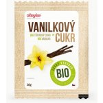 Amylon cukr vanilkový 20 g – Zboží Dáma