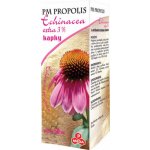 PM Propolis Echinacea extra 3% kapky 50 ml – Hledejceny.cz