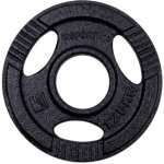 inSPORTline Hamerton Ocelový olympijský kotouč 1,25 kg 50mm – Zboží Mobilmania