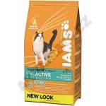 Iams ProActive Health Adult Hairball Care 3 kg – Hledejceny.cz