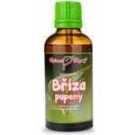 Bylinné kapky Bříza tinktura z pupenů 50 ml – Hledejceny.cz