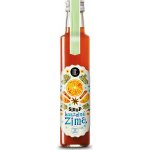 Koldokol Domácí ovocný sirup kouzelná zima 250 ml – Sleviste.cz