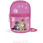 Karton P+P Junior Kočka 3-629 – Zboží Dáma