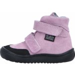 Jonap Jerry orchid – Sleviste.cz