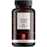 Naturtreu Síla vulkánu MSM & Vitamín C 240 tablet – Hledejceny.cz