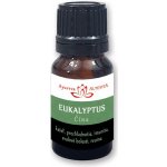 Essential 100 % Esenciální olej Eukalyptus 10 ml – Hledejceny.cz