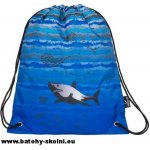 Bagmaster MERCURY 7 B žralok – Hledejceny.cz
