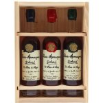Armagnac-Delord 10 20 30 Ans 40% 3 x 0,2 l (set) – Zboží Dáma