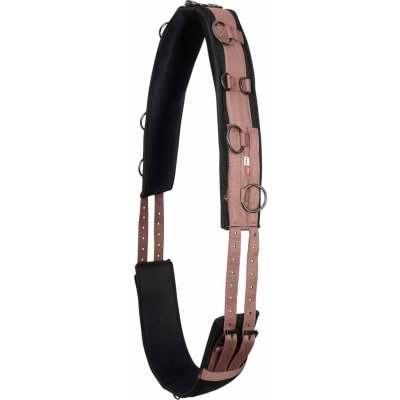 Imperial Riding Obřišník lonžovací Deluxe rosy – Zboží Mobilmania