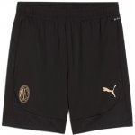 Puma AC MILAN Training – Sleviste.cz