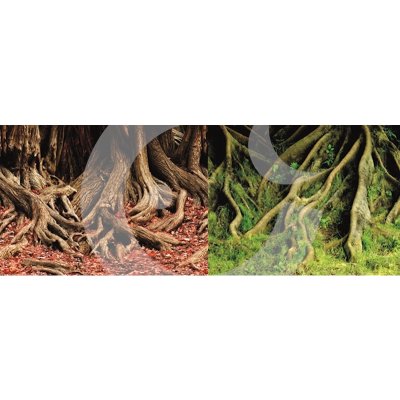 Macenauer fototapeta 1L 100 x 50 cm – Zboží Dáma