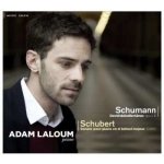 Robert Schumann - Davidsbündlertänze, Op.6 Sonate Pour Piano En Si Bémol Majeur, D.960 CD – Hledejceny.cz