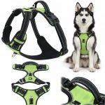 HUGGY DOGGY Postroj pro psa guard beztlakový boxer bulteriér – Zboží Mobilmania