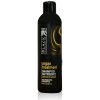 Šampon Black Argan Treatment šampon 250 ml