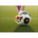 Akrylátová medaile Fotbal Zlatá – Sleviste.cz