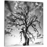 Moderní obraz V023559V3030 () – Sleviste.cz