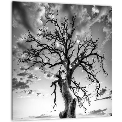 Moderní obraz V023559V3030 () – Sleviste.cz