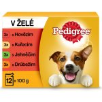 Pedigree Vital protection v želé 4 druhy masa 12 x 100 g – Sleviste.cz