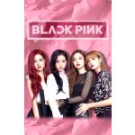 BLACKPINK - Group Pink (vlajka) – Hledejceny.cz