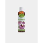 Serafin Echinacea tinktura z bylin 50 ml – Hledejceny.cz