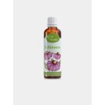 Serafin Echinacea tinktura z bylin 50 ml – Zboží Mobilmania