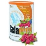 Orling Geladrink Plus malina 280 g – Hledejceny.cz