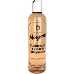 Morgan's šampon na vlasy proti lupům 250 ml – Zboží Dáma