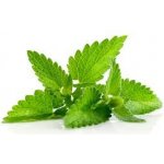 Dekang Fifty Menthol 10 ml 18 mg – Zboží Dáma