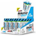 Amix Magneshot Forte Natural 20 x 60 ml – Hledejceny.cz