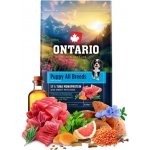 Ontario Puppy & Junior All Breeds Monoprotein Tuna & Sweet Potatoes 6,5 kg – Hledejceny.cz
