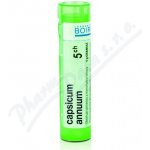 CAPSICUM ANNUUM POR 5CH GRA 1X4G – Hledejceny.cz