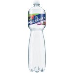 Poděbradka neperlivá lesní plody 1,5 l - PET – Hledejceny.cz