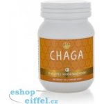 Empower Supplements Chaga Premium 100 kapslí – Hledejceny.cz