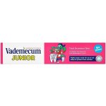 Vademecum Junior Jahoda pro děti od 6 let 75 ml – Zboží Dáma