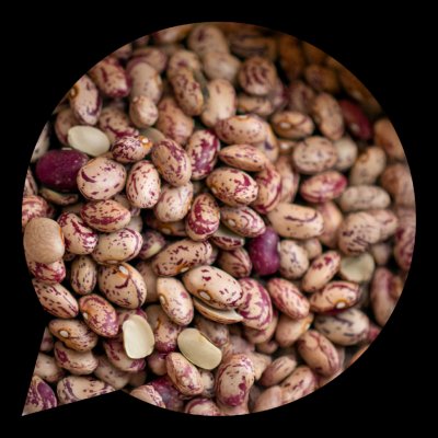 Country Life Fazole pinto 0,5 kg – Zboží Dáma