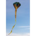 Günther GmbH & Co. Kobra – Sleviste.cz